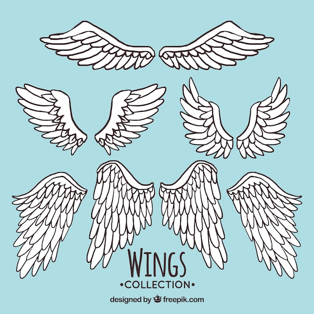 Several hand drawn wings