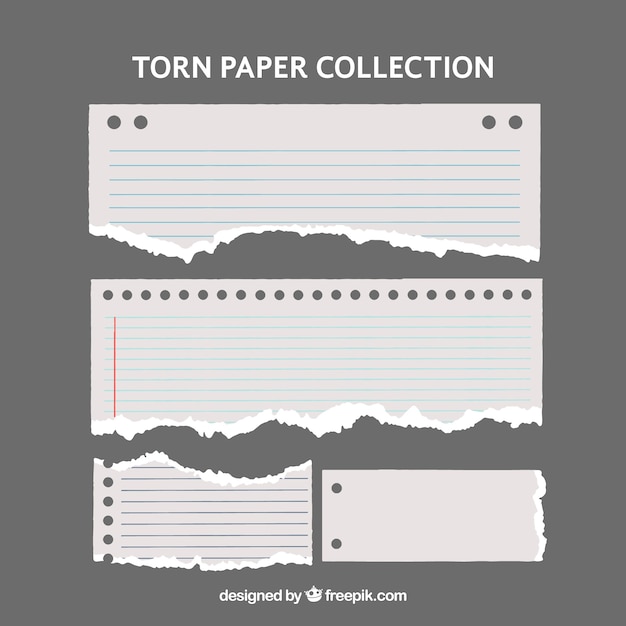 Several torn papers with different forms