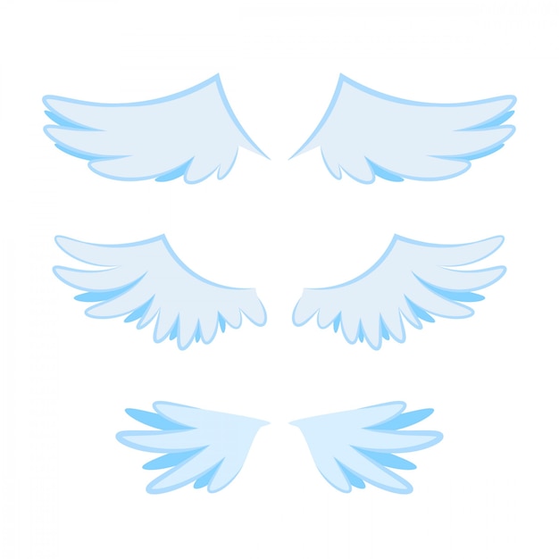 Several wings in flat design