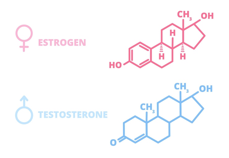 Vector sex hormones laboratory symbol hormone estrogen testosterone chemical structure man girl health information molecule utter vector signs