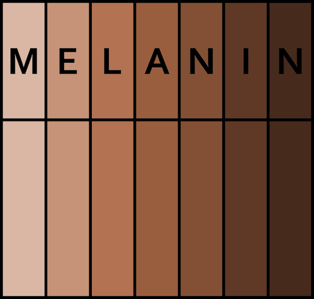 인간 피부의 색조 멜라닌 피부 색소 흑색 생명 문제