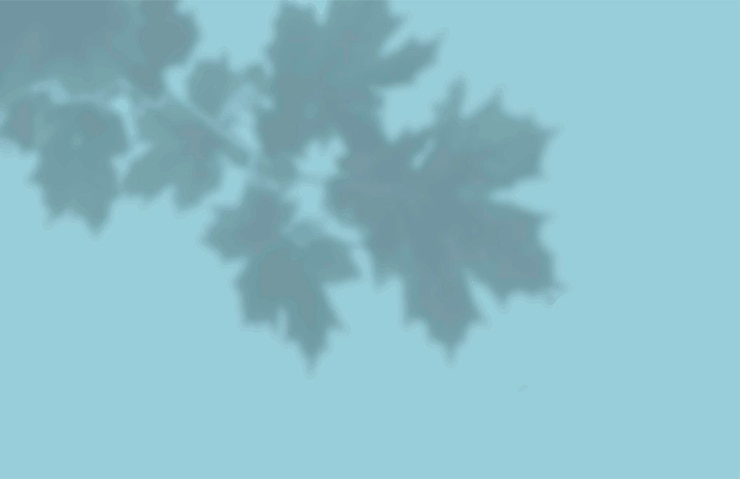 Vector the shadow of the carved leaves on the blue wall black and white image for photo overlay or mockup