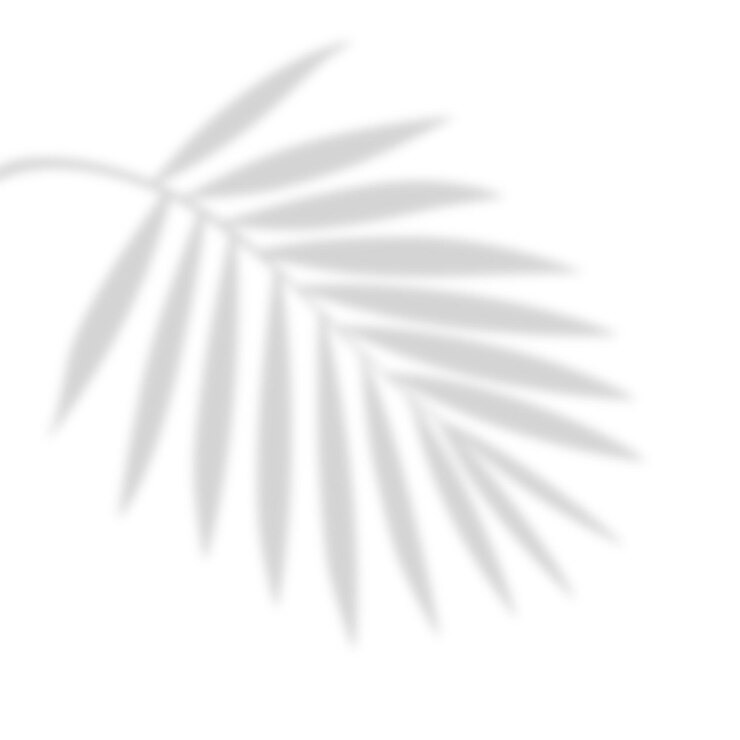 Vector shadow of an leaf palm shadow overlay
