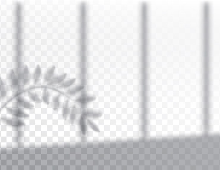 Vector shadow of leaf of plants on overlay effects