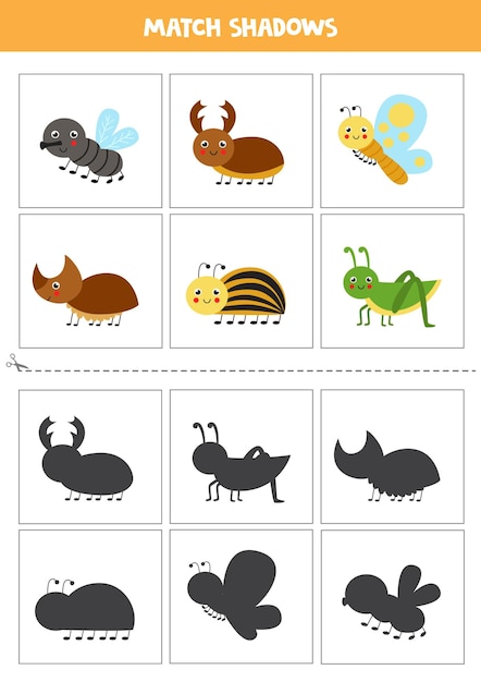 Shadow matching cards for preschool kids. Cute insects.