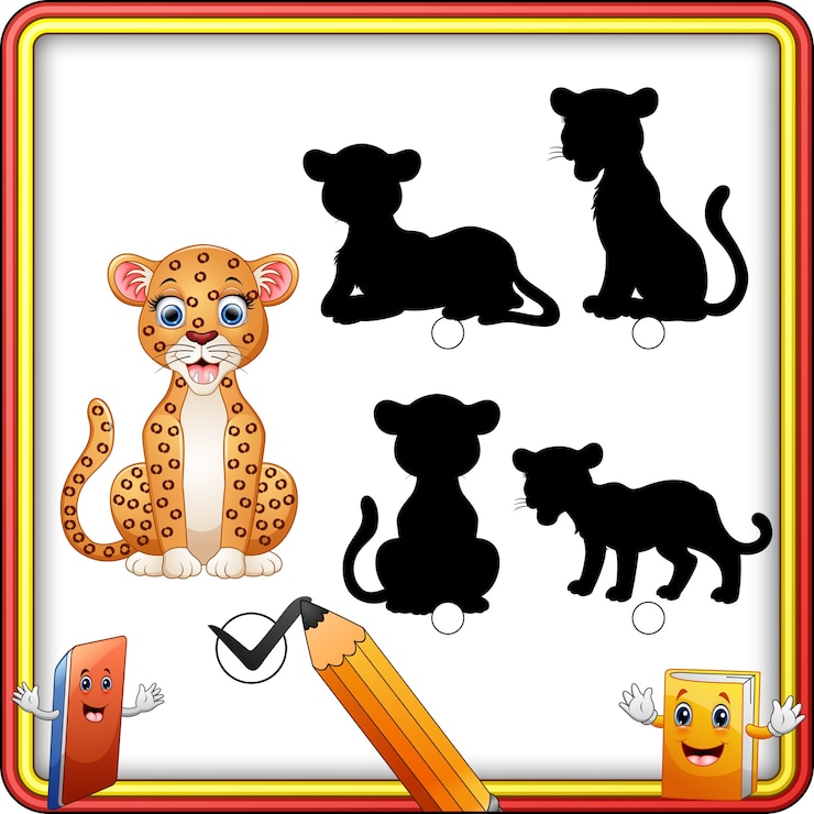 Vector shadow matching of cheetah game