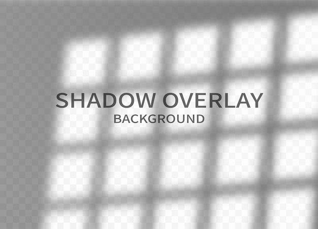 Shadow overlay effect background. window frame shadow and soft light on vertical wall. monochrome abstract design for mockup. vector illustration.