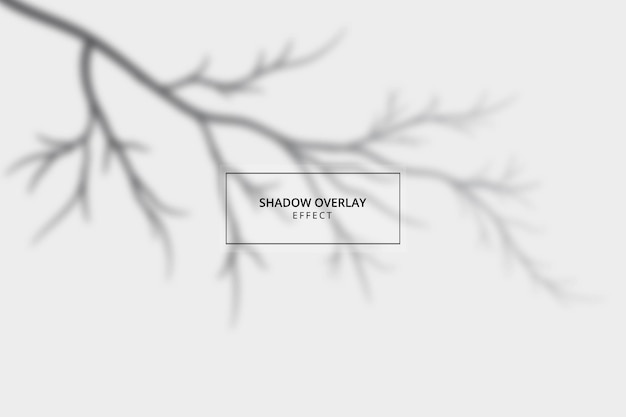 Vector shadow overlay effect on gray background template