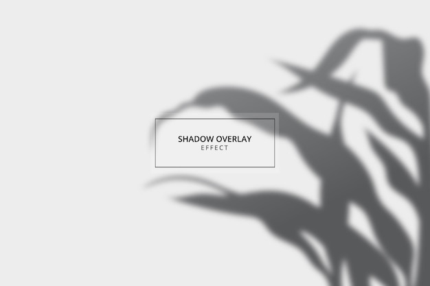 Vector shadow overlay effect on gray background template