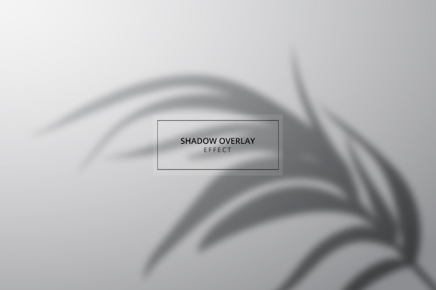 Vector shadow overlay effect on gray background template