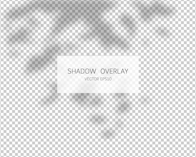 Shadow overlay effect. leaves shadows.   illustration.