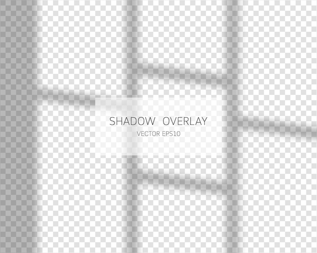 Shadow overlay effect. natural shadows from window isolated on transparent background. illustration.