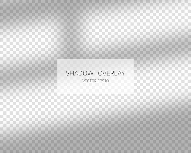 Vector shadow overlay effect natural shadows from window isolated on transparent background