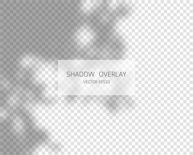 Vector shadow overlay effect natural shadows isolated on transparent background vector illustration