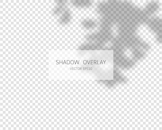 Shadow overlay effect Natural shadows isolated on transparent background Vector illustration