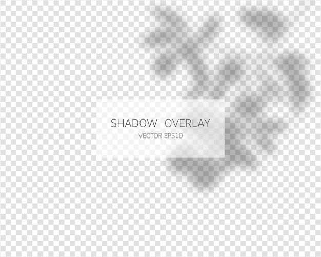 Shadow overlay effect. natural shadows isolated on transparent background.