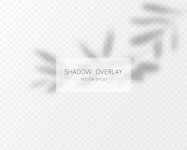 Shadow overlay effect. natural shadows isolated on transparent background.