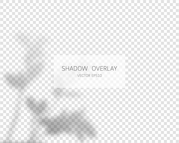 Shadow overlay effect. natural shadows isolated