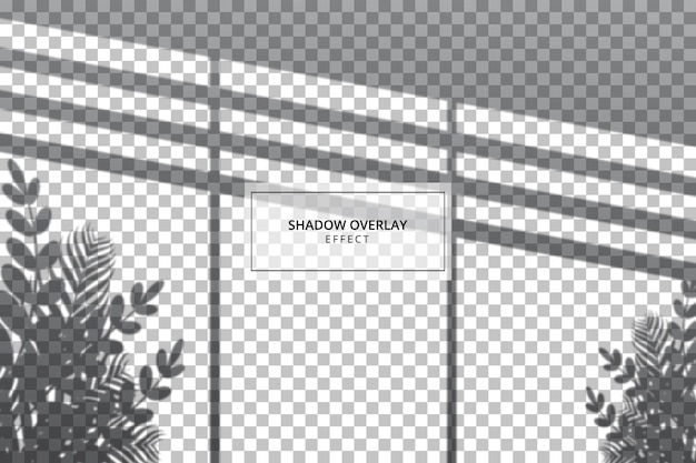 Vector shadow overlay effect on transparent background