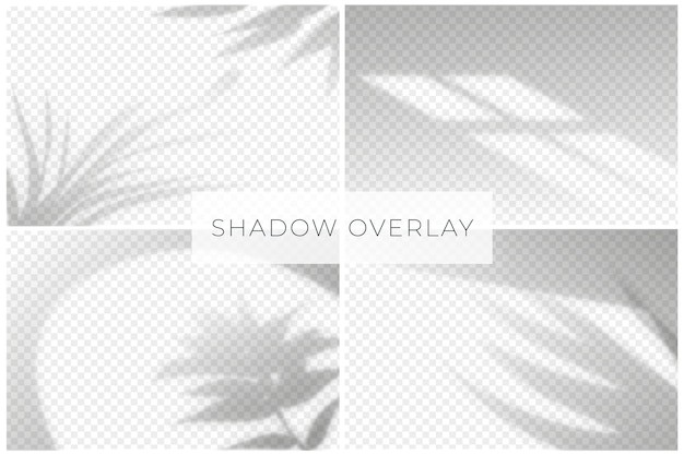 Shadow overlay effect with transparent background