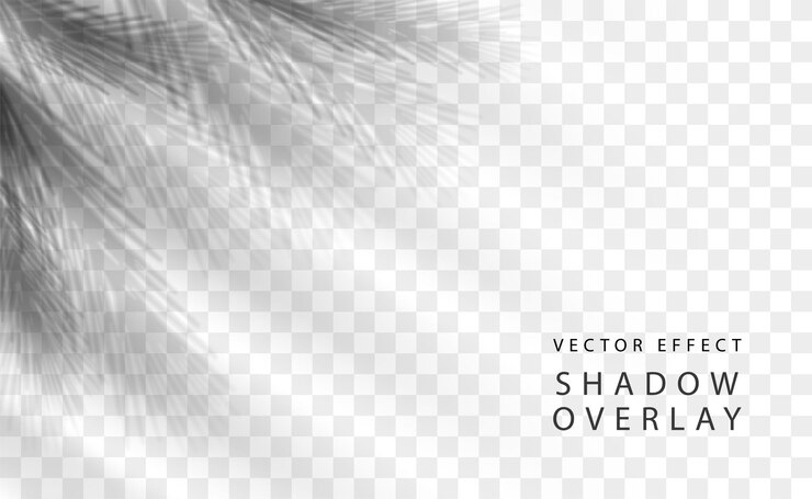 Vector shadow overlay effect