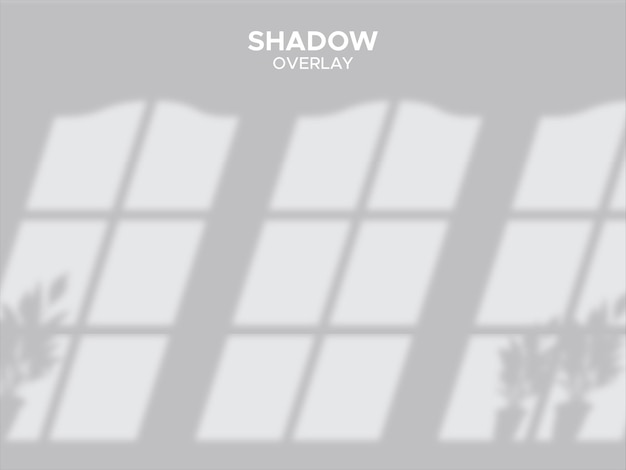 Shadow overlay effects. natural shadows from window background 8