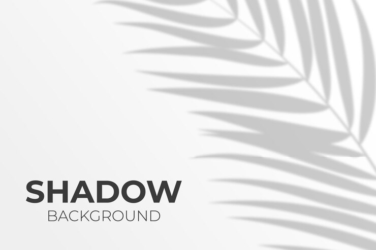 Vector shadow overlay of leaves in transparent style