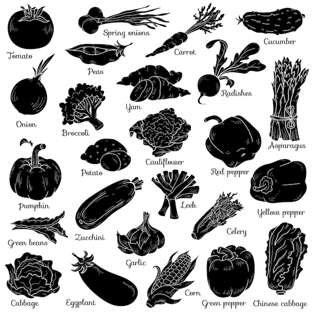 Vector shadow set with vegetables vector cartoon stickers