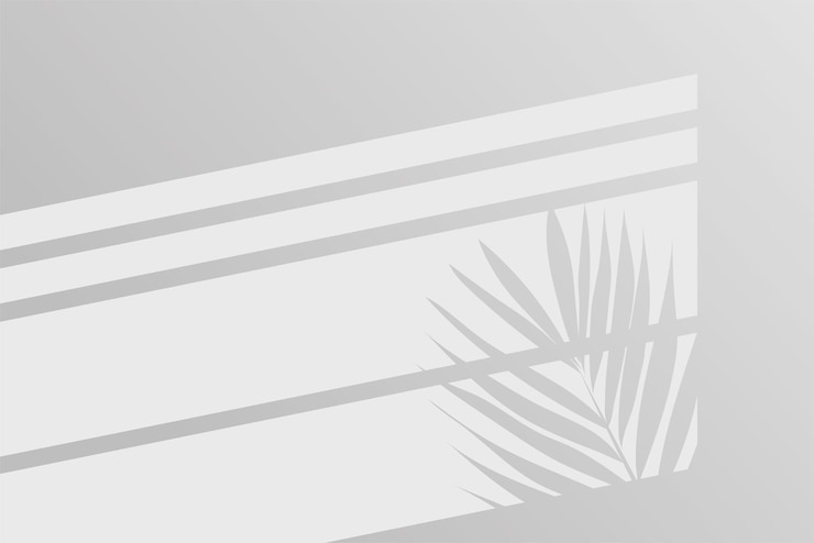 Vector shadow of window with palm plant on white color wall background used for backgrounds cardboards