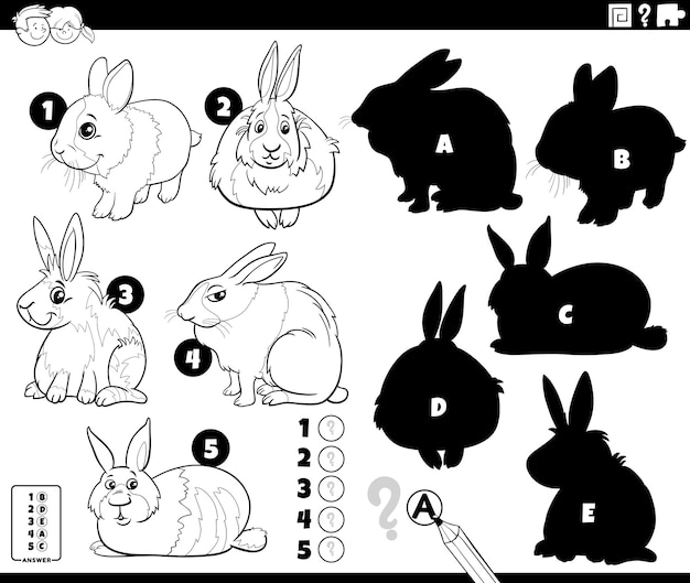 Vector shadows activity with cartoon rabbits coloring page