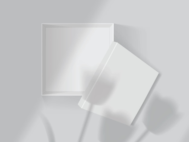 Vector shadows from tulips and windows on a white open box