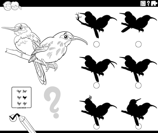 Gioco delle ombre con la pagina da colorare degli uccelli dei cartoni animati