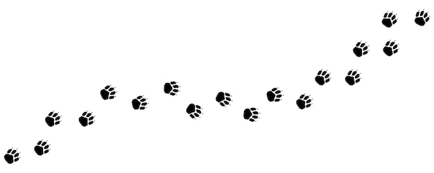 Shaggy dog of puppy path foot prints Dog paws diagonal track silhouette Walking Shepherd Retriever Spitz Chow Chow Chihuahua Labrador Terrier Beagle Collie Dog steps Vector isolated Pet