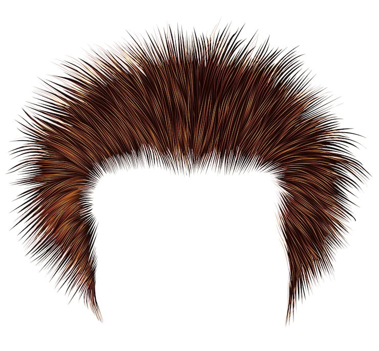 वेक्टर shaggy man hairs red colors