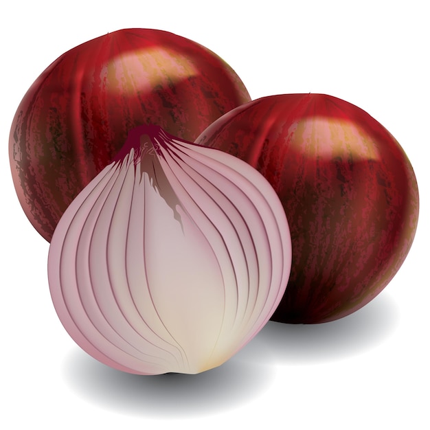 Shalot A very popular kitchen spice used for various dishes