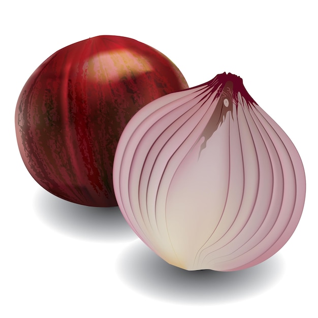 Shalot A very popular kitchen spice used for various dishes