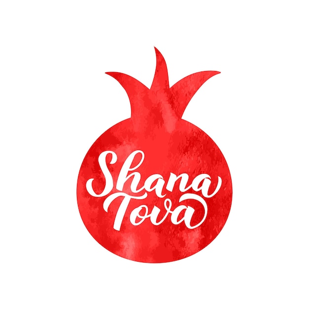 Shana Tova calligraphy lettering written on watercolor pomegranate Rosh Hashana Jewish holiday New Year Vector template for banner typography poster greeting card invitation flyer tshirt