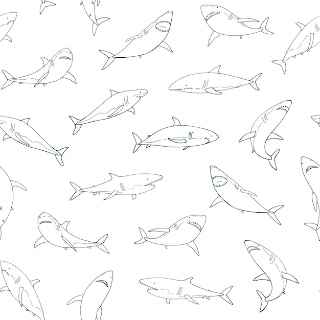 Shark animal sea vector hand drawn funny seamless pattern