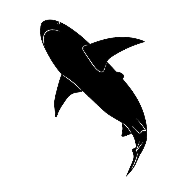 shark bottom view on a white background silhouette vector