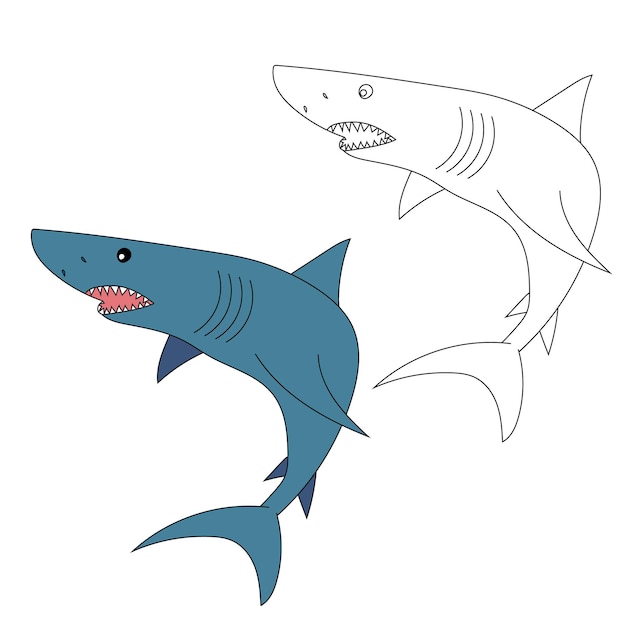 Vector shark clipart aquatic animals and sea animals clipart