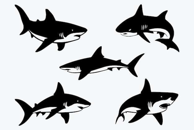 Vector shark icon animal logo collection set