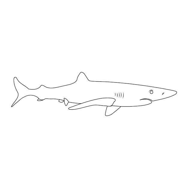 Shark icon vector illustration design