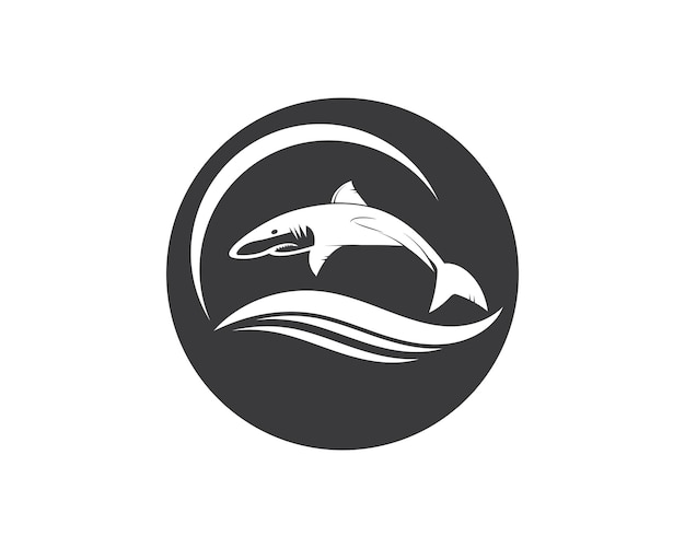 Vector shark icon vector illustration design