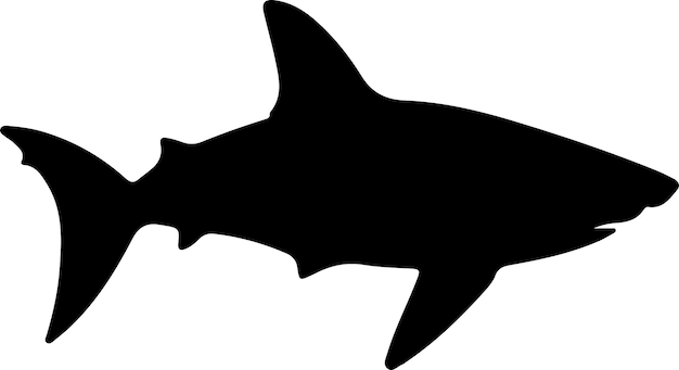 Vector a shark is shown with a black background