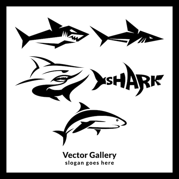 Vector shark logo design set