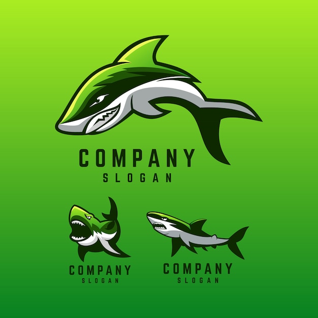 Дизайн логотипа акулы