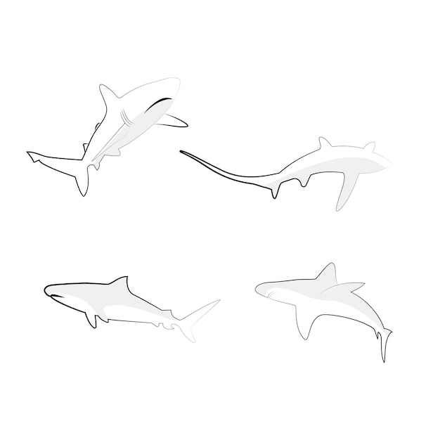 Shark logo icon