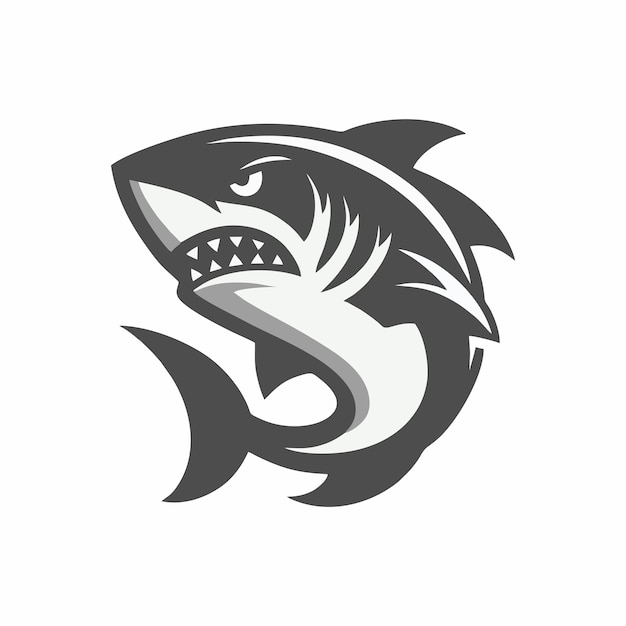 Vector shark logo