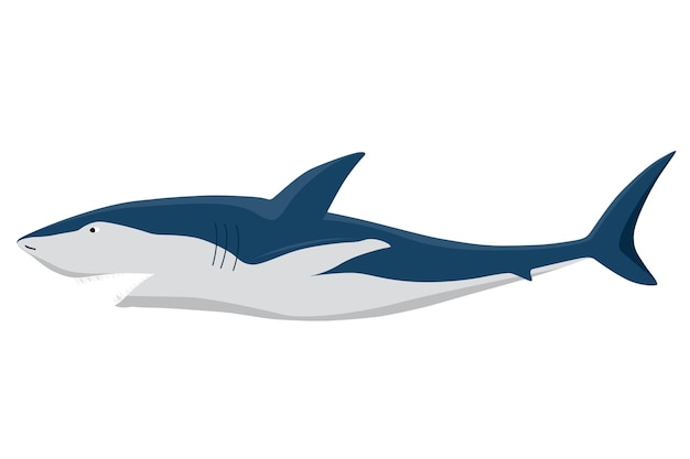 Shark predatore marino pesce personaggio fauna selvatica sottomarina o animale oceanico cartoon piatto icona isolata su sfondo bianco illustrazione vettoriale