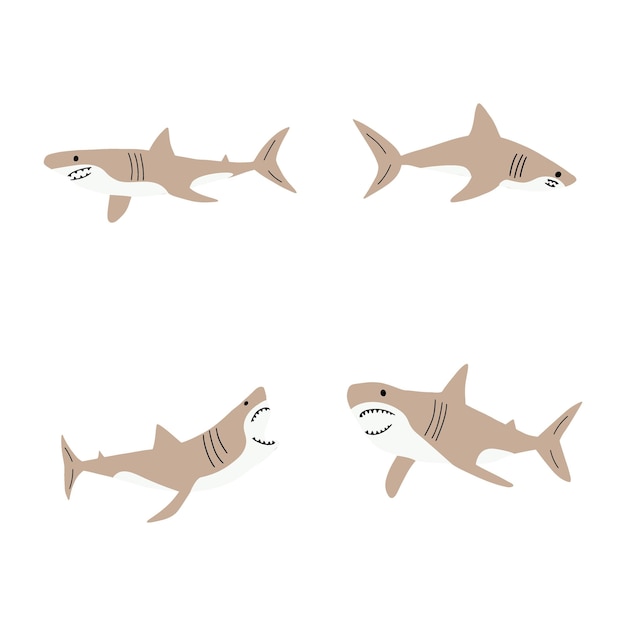 Shark Sea animal Marine animal in Scandinavian style